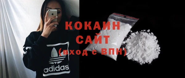 ешки Бородино