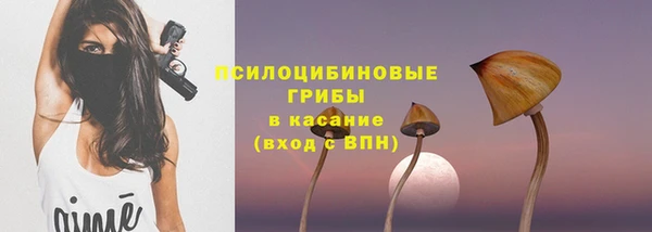 mdpv Бронницы