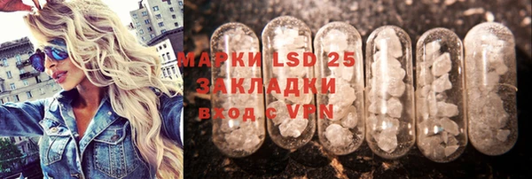 ешки Бородино
