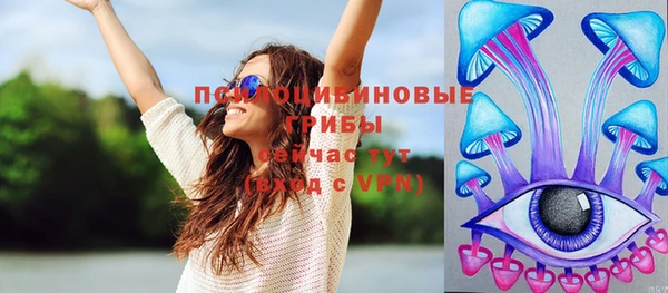 ешки Бородино
