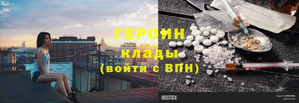ешки Бородино