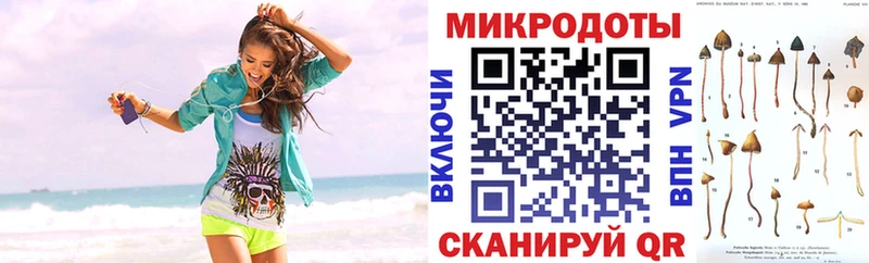 Псилоцибиновые грибы Psilocybe  Лукоянов 